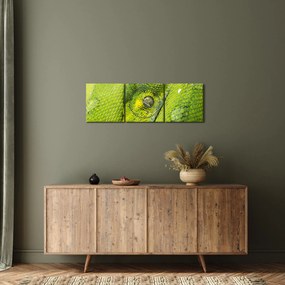 Tablou cu șarpe (cu ceas) (90x30 cm)