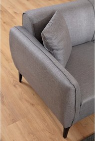 Canapea gri deschis Belissimo – Balcab Home