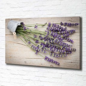 Imprimare tablou canvas Levănțică în oală