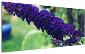 Tablou cu floare albastră (120x50 cm)