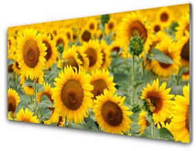 Tablouri acrilice Floarea soarelui Floral Brown Galben
