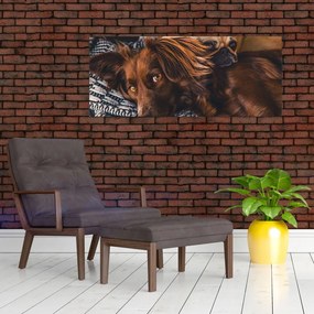 Tablou cu câini dormind (120x50 cm)