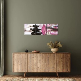 Tablou cupietre pentru masaj și orhidee (cu ceas) (90x30 cm)