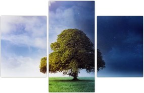 Tablou - Noapte și zi (90x60 cm)