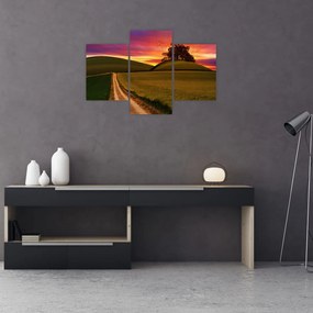 Tablou câmpului cu apus de soare (90x60 cm)
