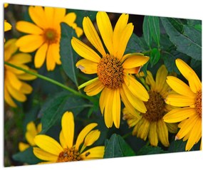 Tablou cu flori galbene (90x60 cm)