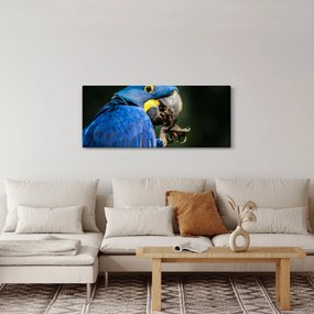 Tablou cu papagal (120x50 cm)