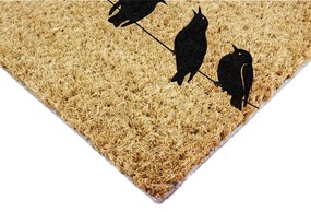 Covoraș de intrare din fibre de nucă de cocos 40x60 cm Birds On a Wire – Artsy Doormats