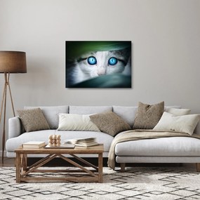 Tablou pe sticlă cu pisica (70x50 cm)