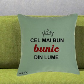 Cadou pentru Bunic - Perna Personalizata Cel Mai Bun Bunic Din Lume Coroana Rosu, 40x40 cm, Verde, Husa Detasabila, Perna Inclusa, BEKZ®