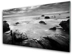 Tablouri acrilice Rock Sea Peisaj Gray