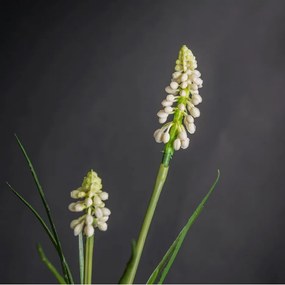 Aranjament floral mic decor festiv design LUX ETERNITY CUBO SINGLE MUSCARI