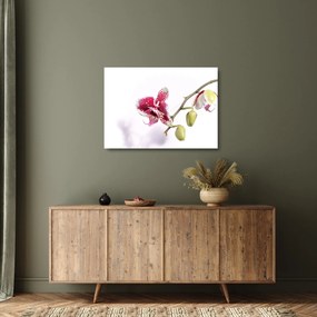 Tablou pe sticlă cu floarea de orhidee (70x50 cm)