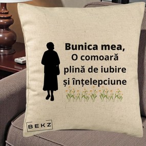 Cadou pentru Bunica - Perna Personalizata Bunica Mea Comoara Iubire Intelepciune Silueta cu Nepoata, 40x40 cm, Bej, Husa Detasabila, Perna Inclusa, BEKZ®