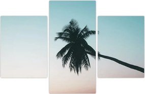 Tablou - Palmier la Bali (90x60 cm)