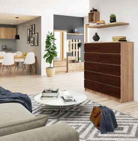 Comodă Kapil III (Stejar sonoma + wenge). 1069399