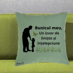 Cadou pentru Bunic - Perna Personalizata Bunicul Meu Izvor de Liniste cu Fluture si Fetita, 40x40 cm, Verde, Husa Detasabila, Perna Inclusa, BEKZ®