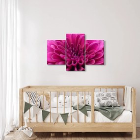 Tablou cu floare (90x60 cm)