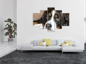 Tablou cu câine (150x105 cm)
