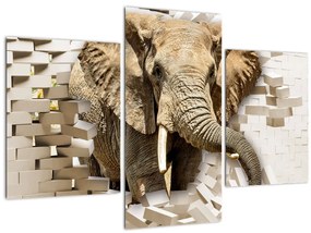 Tablou - Elefant spârgând peretele (90x60 cm)