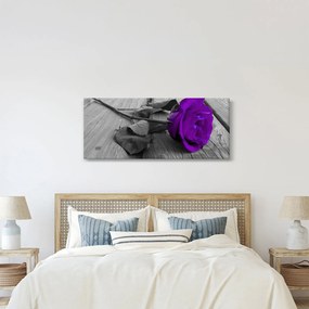 Tablou - Trandafir violet cu tulpina verde (120x50 cm)