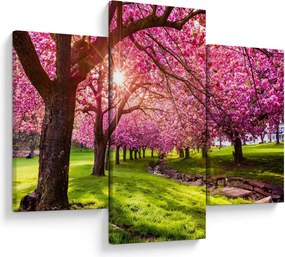 Tablou - Cireși înfloriți, Hurd Park, Dover, New Jersey (90x60 cm)