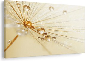 Tablou - Fotografie macro de păpădie (90x60 cm)