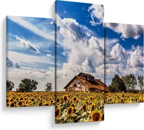 Tablou cu câmp de floarea soarelui (90x60 cm)