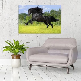 Tablou - Cal cu o coamă curgătoare (90x60 cm)