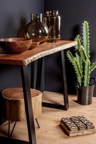Consolă ARTUR 130x45x76 cm din lemn masiv de acacia și metal | Bizzotto