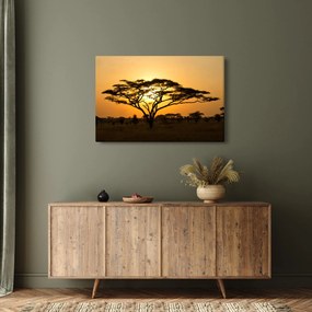 Tablou - Savana africană (90x60 cm)