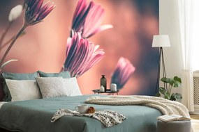 Fototapet autoadeziv flori roz delicate