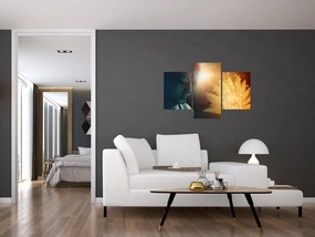 Tablou - Pace (90x60 cm)
