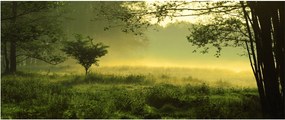 Tablou - Pădurea trezită (120x50 cm)