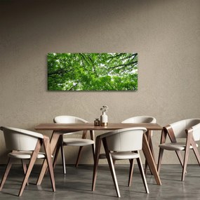 Tablou - privire în coroanele pomilor (120x50 cm)