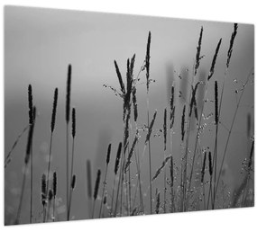 Tablou pe sticlă - Lamele de iarbă (70x50 cm)