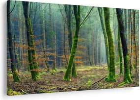 Tablou cu pădure (90x60 cm)