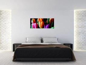 Tablou -Lalele pe fond negru (120x50 cm)