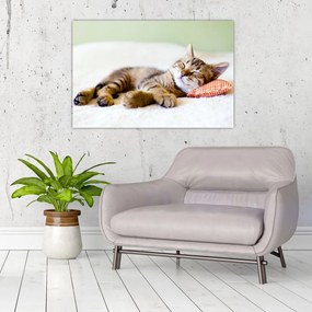 Tablou - Pisicuța adormită (90x60 cm)