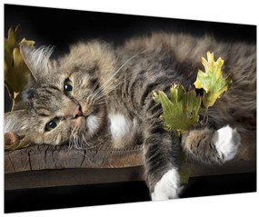 Tablou - Pisica mincinoasă (90x60 cm)