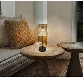 SET 2x corp de iluminat LED solar Globo 36634-2S SOLAR LED/0,06W/3V IP44 gri