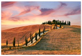 Tablou - Casa pe deal Toscana, Italia (90x60 cm)