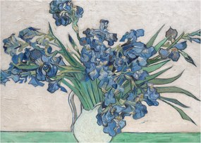 Tablou - Vincent van Gogh, Irises, reproducere (70x50 cm)