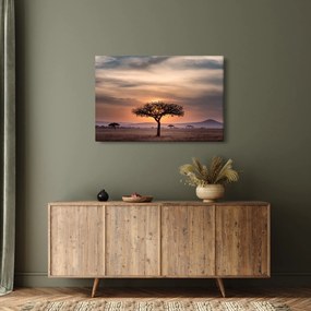 Tablou apusului de soare în Tanzania (90x60 cm)