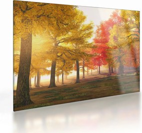 Tablou pe sticlă cu copaci toamna (70x50 cm)