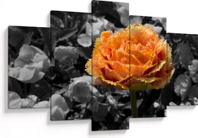 Tablou cu floare (150x105 cm)