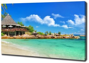 Tablou pe pânză Plaja seychelles