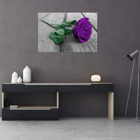 Tablou - Trandafir violet cu tulpina verde (90x60 cm)