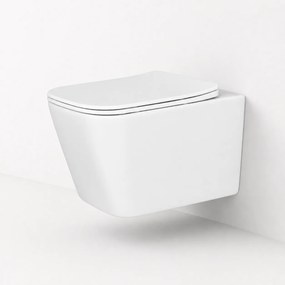 Vas WC suspendat W202, capac duroplast cu amortizor