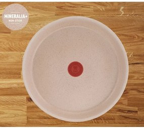 Tefal - Set de vase Ingenio Delight, 17 piese